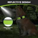 Dog Collar for Small Medium Large Dogs, Reflective, Adjustable Heavy Duty Dog Collar, Soft Neoprene Padded Comfortable for Walking (Green, M)