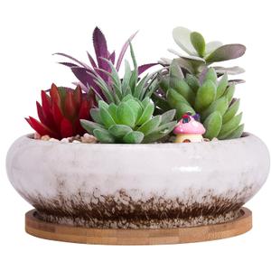 ARTKETTY Succulent Pots - 7.3 Inch Ceramic Bonsai Pot with Tray, Large Succulent Planters with Drainage, Shallow Planter for Indoor Cactus Plants Decorative Flower Plant Container Bowl (White) ARTKETTY Succulent Pots - 7.3 Inch Ceramic Bonsai Pot with Tray, Large Succulent Planters with Drainage, Shallow Planter for Indoor Cactus Plants Decorative Flower Plant Container Bowl (White)