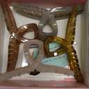 Big Hair Claw Clips - Butterfly Hair Accessories for Women and Girls with Long, Thick Hair - Large 5.1 Jelly Clips, 4 Pcs, Mother's Day Gifts