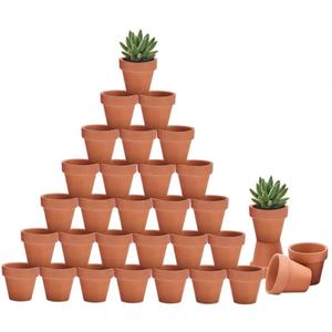 Riseuvo 32pcs 2" Small Mini Terracotta & Clay Pot Planter - Cactus Flower Nursery Terra Cotta Pots with Drainage, Perfect for Indoor/Outdoor Plants, Crafts