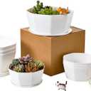 BangQiao 8 Pack 8.00 inch and 5.90 inch White Plastic Shallow Plant Pot, Octagon Bowl Planter Container with Pot Tray for Succulents, Cactus