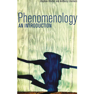 Phenomenology: An Introduction