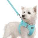 rabbitgoo Dog Harness Small Sized and Leash Set, Step in Soft Light Puppy Vest, Breathable Mesh Pet Harness, Reflective for Safe Easy Walking, Mint Blue Small (Chest: 15.1 - 16.5")