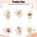 Soaoo 24 Pcs Brass Glass Frames for Pressed Flowers Wall, 6 Shapes, Gold, 4.1 x 6.1 inches