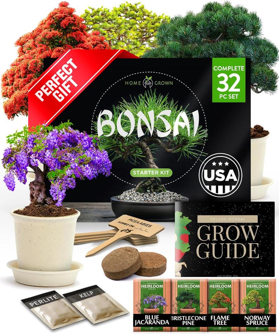 Bonsai Tree Kit Gifts for Men & Women - Grow 4 Bonsai Trees - Unique Gardening Crafts for Adults, DIY Hobbies for Plant Lovers & Gardeners - Unusual Christmas Gift Ideas for Mom & Dad