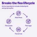 Amazon Basics Topical Flea Treatment for Large Cats (Over 9 pounds), 6 Count, Packaging May Vary