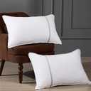 Bed Pillows Queen Size Set of 2, Firm Hotel Pillows for Sleeping, Cooling Pillows for Side & Back Sleepers, Down Alternative Filling, 20 x 28 Inches