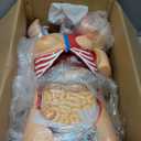 SFXYJ Human Torso Anatomy Model 33.4", Dual-Gender32 Part Removable Life-Size with Heart Head Skull Brain Visceral Muscular Layers Model Includes Product Manual for Medical Student Lab Classroom Use