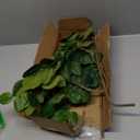 Briful 3PCS Artificial Greenery Stems Fake Plants, 35'' Long Stem Faux Camellia Branches, Real Touch Year Round Tea Leaf Branches Artificial Plants for Home Farmhouse Wedding Centerpiece Decor