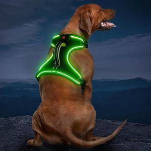 Rechargeable LED Dog Harness - No Pull, 4 Point Adjustable, Small/Medium/Large/X-Large Sizes (Black-Green)
