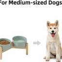 Havniva Ceramic 6.1inch Raised Dog Bowl with Stand for Small and Medium Breed Dog Dish Pet Food and Water Bowl (Double Bowl with Stand - Light Green, 28oz)