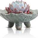 Retro Succulent Planter Ceramic Flower Pot for Indoor Outdoor, Cactus Planter Pot with Drainage Hole for Home & Office Decor, Green (5.3*5.3*2.1 in)