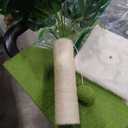 Small Cat Tree, Green Cat Tree with Scratching Post, Hammock Toy Ball and Palm Leaves for Kittens, Cat Tower for Indoor