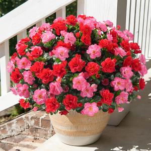 Artificial Faux Outdoor Flowers Plants for Spring Summer Decoration, Fake Silk Camellia UV Resistant Look Real for Planter Outside Front Door Porch Patio Balcony, 3 Large Bundles (Melon Red+Red)