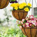 Kingbuy 14 Inch Metal Hanging Planter Basket with Coconut Liner, Wire Plant Holder Watering Pot for Indoor Outdoor Garden Balcony Patio Decoration - 2 Pack