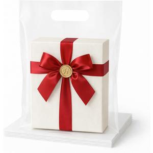 100PCS Clear Plastic Bags with Handles 9"x12" Shopping Bags, Small Plastic Gift Bag for Retail, Merchandise, Boutiques, and Small Business Packaging