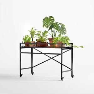 Zhongma Window Height Sturdy Metal Plant Stand with Wheels, 36.6 x 16 x 26.2 in High, Heavy Duty Succulent Shelf for Home Indoor and Outdoor, 220 LBS Capacity & Heavy Duty Construction