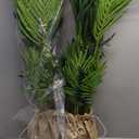 Worth Garden 4ft Artificial Areca Palm Plant 2 Packs in Pot, Fake Cane Palm Silk Tree Indoor Outdoor, Dypsis Lutescens, 47in Lifelike Faux Silk Plant Home Decor, Two Linen Bags Included