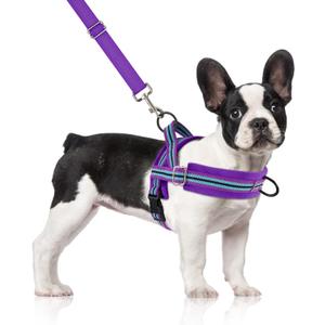 SlowTon No Pull Small Dog Harness and Leash Set, Puppy Soft Vest Harness Neck & Chest Adjustable, Reflective Lightweight & Anti-Twist Pet Lead Combo for Dogs (PU-Front Clip, M)