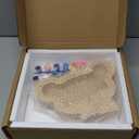 Wooden Piggy Bank for Kid, DIY Night Light Personalized Money Bank for Boy, Girls, Unbreakable Saving Box with Paintbrush and 12 Paints, Coin Jar Gifts for Kid Birthday&Decor (Carriage)