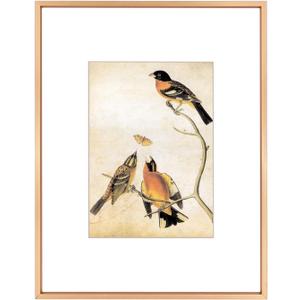 BKABOT 11x14 Picture Frame, Gold Metal Photo Frames with HD Glass, Fits 8x10 with Mat or 11 x 14 without Mat, Display for Wall and Table, 1 Pack