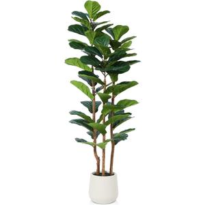 Artificial Fiddle Leaf Fig Tree with White Planter,5ft Tall Fake Tree with Natural Wood Trunk for Home Decor, Faux Ficus Tree Fake Moss for Indoor Office Living Room