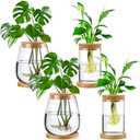 Layhit 3 Pcs Plants Propagation Stations vases Glass Planters with Wooden Lid and Bamboo Stand for Hydroponic Plants Gardening Gifts for Women Mom Home Office Tabletop Decoration(Classic Style)