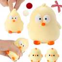 ZIFTY Squeeze Toys Handmade Duck Squishy Stress Chick Relief Toys with Accessories for Adults Relieving Fidget Toys Party Favors for Adults Birthday