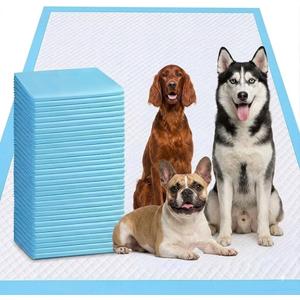 40 Count Potty Training Pads