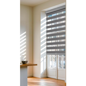 AOSKY Cordless Zebra Blinds for Windows Pull Down Roller Window Shades Dual Layer Light Filtering Privacy for Day and Night, Free-Stop Door Shades for Home Easy to Install (46" W X 72" H, Grey)