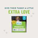 VetIQ Probiotic Powder for Dogs, Treats Diarrhea, Digestive Issues, Food Sensitivity, Chicken Flavored, Single-Serve Packets, 30 Count