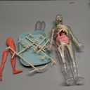 YOFUN Human Body Skeleton Model Kits for Kids,Interactive Anatomy Science Kit  Removable Muscles, Organs,Bones,STEM Educational Toys for Boys and Girls Aged 6+