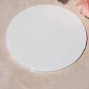 20PCS White Acrylic Round Circle, White Acrylic Round Disc, Round Sheet, Lucite Circle Round Disc 1/8" Thick (White, 2")