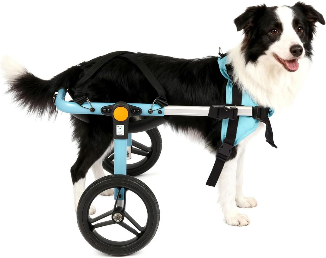 TailWaggers Dog Wheelchair for Back Legs | Adjustable Mobility Aid | All-Terrain Wheels (26-69lbs,15-22")
