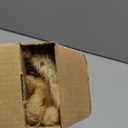 Uieke 17 Natural Bunny Tails Dried Flowers, 50 Pcs Dried Lagurus Ovatus, Dried Brown Pampas Grass Decor for Farmhouse Flower Arrangements Wedding Home Boho Party Decorations