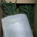 Artificial Norfolk Pine Christmas Tree - 3Ft Realistic Faux Christmas Tree for Home Indoor Outdoor Christmas Decorations