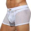 Arjen Kroos Men's Sexy Underwear Mesh Breathable Boxer Briefs Soft Stretch Trunks (Large, A4-white-2060)