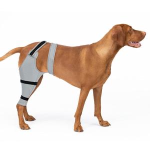 Dog Rear Leg Sleeve to Prevent Licking - Single Recovery Sleeve for Back Hind Leg, Wound Recovery After Surgery for Torn ACL/ CCL TPLO Surgery