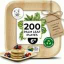 Palm Leaf Plate Bamboo Paper Disposable 6 Inch 200 Bulk Appetizer and Dessert Square Party Pack Eco Biodegradable Compostable Wooden Plate Better Than Plastic By KoalaLove