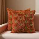 Fall Decorative Throw Pillow Covers 18*18 Set of 2 Fluffy Faux Fur Embroidered Cushion Case Rust Pumpkin Autumn Thanksgiving Harvest Farmhouse Decoration for Outdoor Sofa Couch Bedroom Living Room