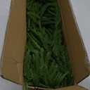 9FT Christmas Garlands Norfolk Pine Garland Real Touch Artificial Faux Greenery Garland for Holiday Indoor Outdoor Decor