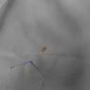 Women's Quick Dry Sun UV Protection Convertible Long Sleeve Shirts for Hiking Camping Fishing Sailing (X-Large, 15026 White)