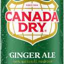 Canada Dry, Ginger Ale 355ml, (EXP 03/01/28)