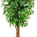 6ft Ficus Artificial Tree with 3 Natural Curved Trunks, 74" Tall Lush Faux Tree for Home Decor Indoor, Green Lifelike Fake Ficus Tree with White Planter Pot