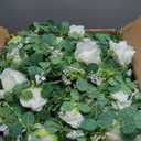 Dolicer 4Pcs 26Ft Artificial Eucalyptus Garlands with Flowers - 8 Roses, Faux Floral Greenery Garlands Fake Flowers Vines for Wedding Table Centerpieces Arch Party Ceremony Backdrop Decor (White)