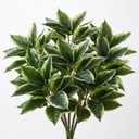 Hotop 6 Pack Variegated Hosta Artificial Plant for Summer Outdoor Decoration, 15.8" Faux Green Dieffenbachia Plant Greenery Aesthetic House Plants Outdoor Shrubs Indoor Office Yard Planter Filler
