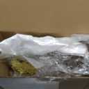 9 Sets Twinkle Twinkle Little Star Table Centerpieces DIY Moon Stars Baby Shower Decorations Light Star Cloud Decor for Baby Shower Birthday Party DIY Crafts(Glitter Gold)