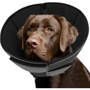Queenmore Dog Cones for Large Dogs, Soft Dog Cone for Large Breeds, Cone for Dogs After Surgery, Adjustable Elizabethan Collar for Pet to Prevent Licking Wounds, Grey L