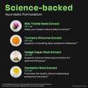 Auric Herbal Liver Support Supplement | Milk Thistle (Silymarin), Turmeric, Garlic, Ginger for Liver Health | Advanced Detox & Cleansing Formula for active Liver | 60 Tablets | Plant Based Gluten-Free (20 Count (Pack of 3))