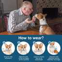 Flea and Tick Collar for Small Dogs, Flea Collar for Dogs, Tick Collar for Small Dogs, Dog Tick Collar, Dog Flea Collars, Soft & Adjustable, 8 Months Protection, Easy to Use-2P